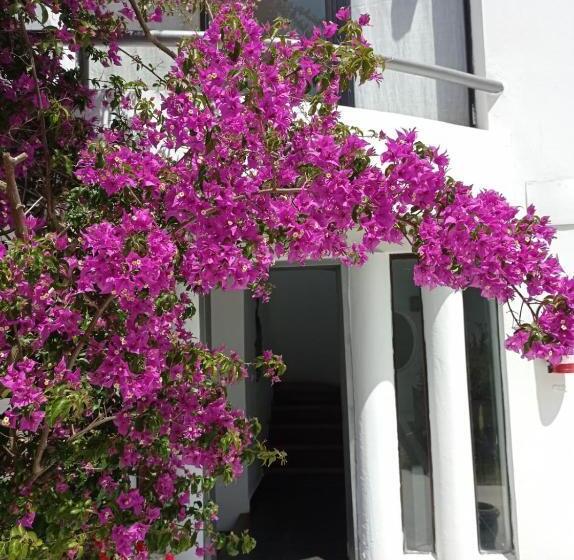 호텔 Posada De Los Pajaros