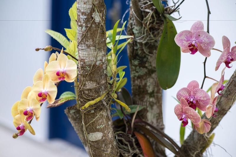 호텔 Pousada Carolina