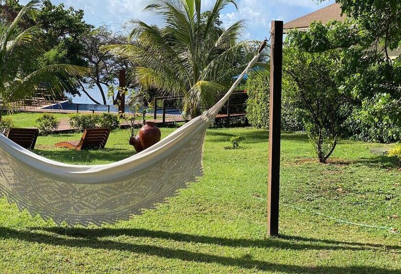 בית מלון כפרי Pousada Lua Bela