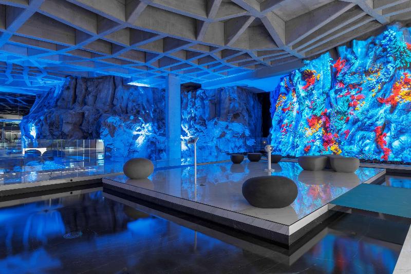 ホテル Royal Hideaway Corales Suites