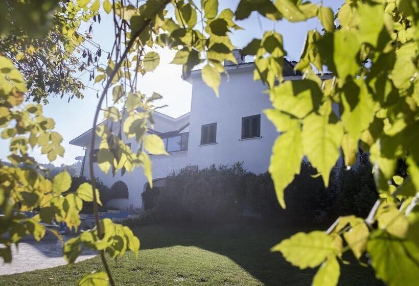 Il Pettirosso B&b