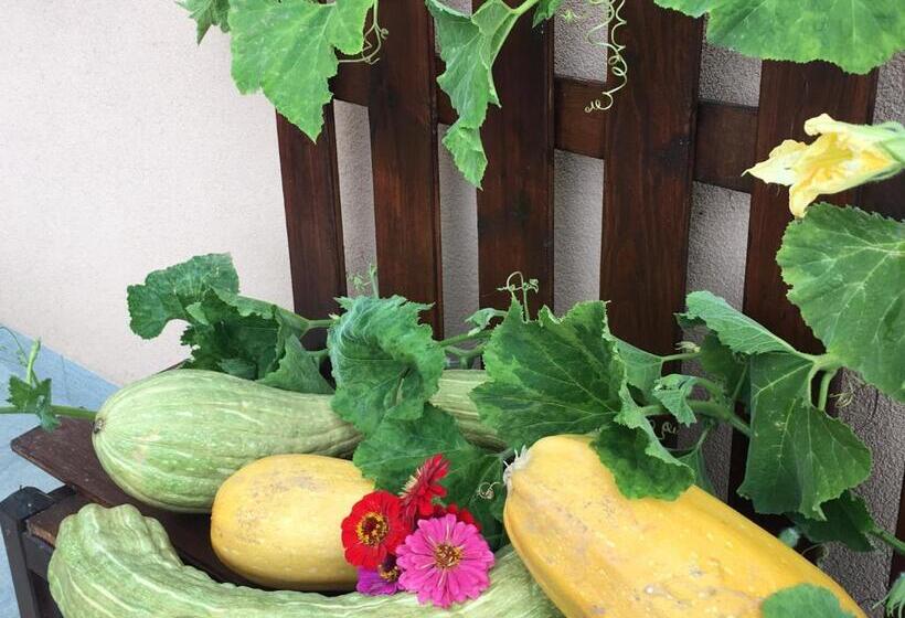 La Corte D Emilio B&b