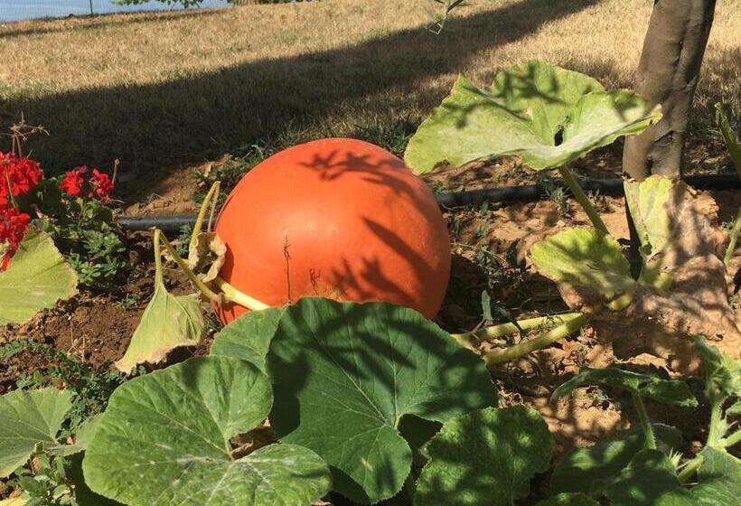 La Corte D Emilio B&b