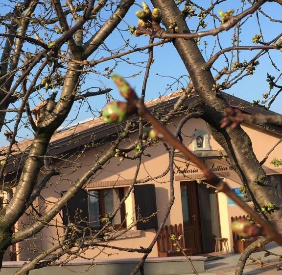 La Corte D Emilio B&b