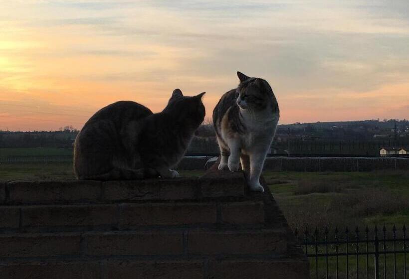 La Corte D Emilio B&b