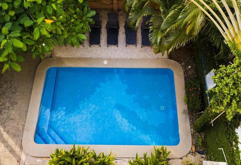 تختخواب و صبحانه Laura S House