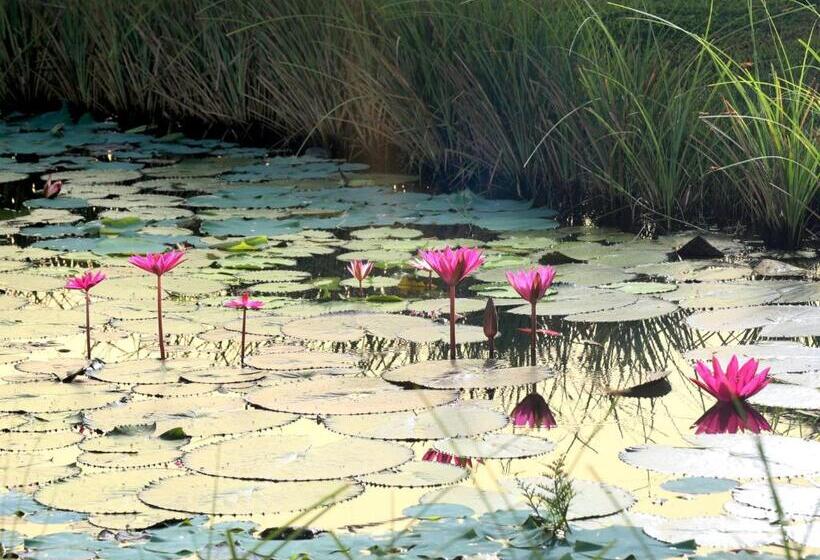 אתר נופש Niraamaya Wellness Retreats Backwaters And Beyond Kumarakom