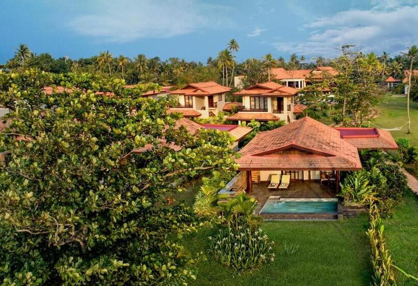 אתר נופש Niraamaya Wellness Retreats Backwaters And Beyond Kumarakom
