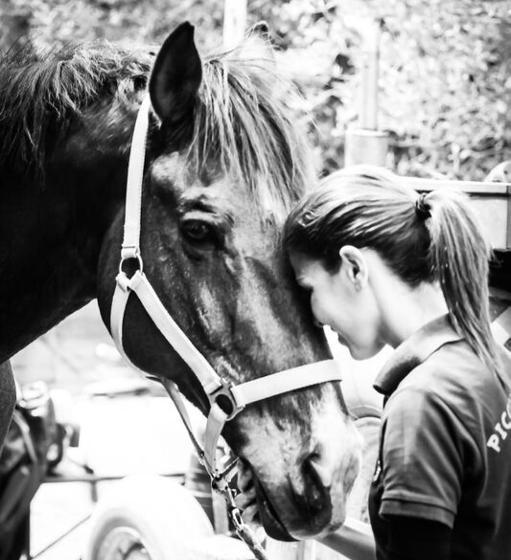 리조트 Piccolo Ranch