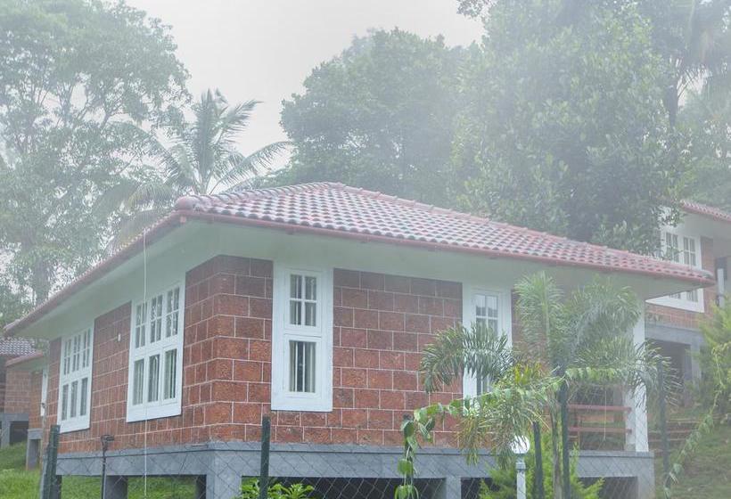 Wayanad Ranches Resorts