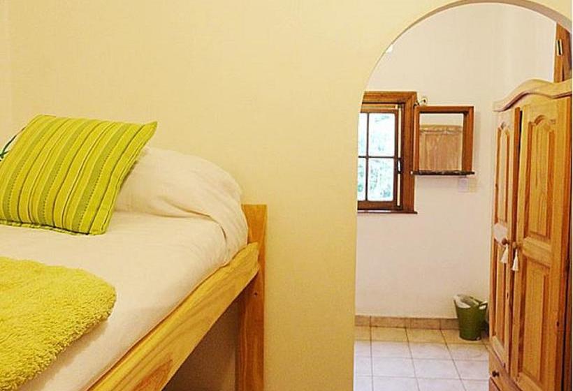 هاستل La Casa Del Girasol Residencia Universitaria