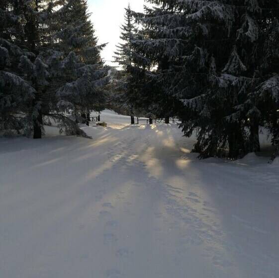 Общежитие Rifugio La Capanna