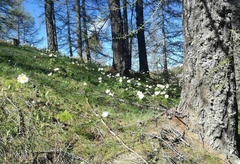 Общежитие Rifugio La Capanna