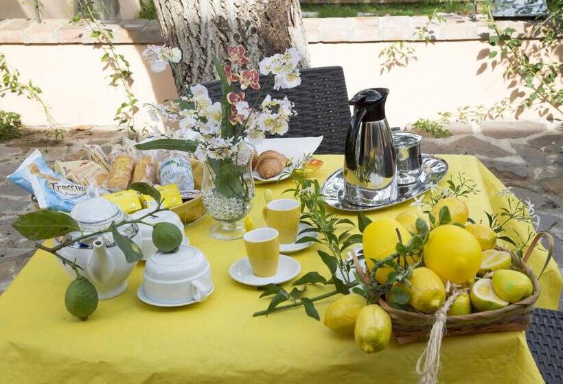 All'ombra Del Noce B&b