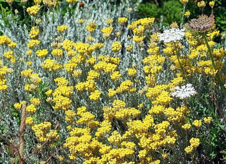 B&b Antoclo Di Concas Angela Margherita