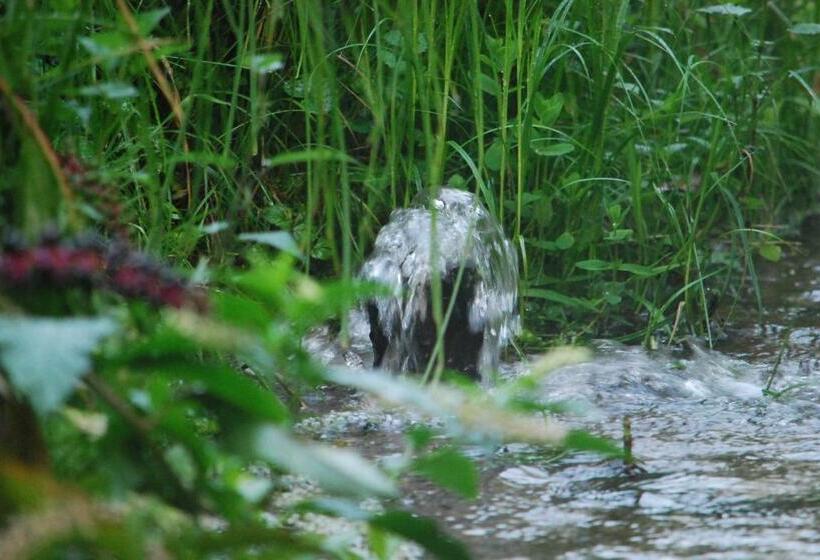 ベッドアンドブレックファースト Agriturismo Cascina Selva