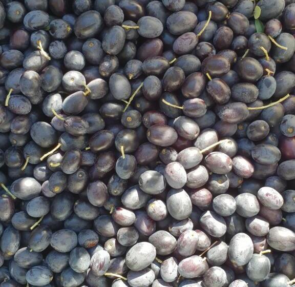 مبيت وإفطار Ca' Datu