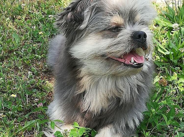 Bed and Breakfast Ca  Gialla