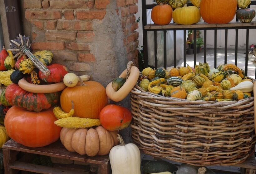 Bed and Breakfast Ca Gialla