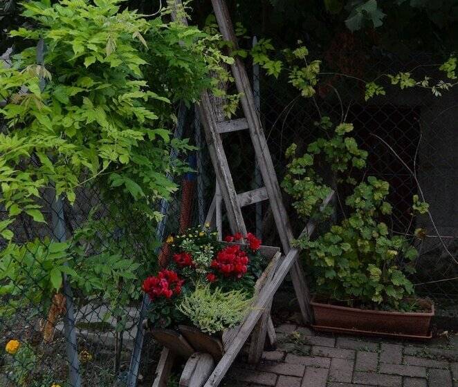 Bed and Breakfast Ca  Gialla