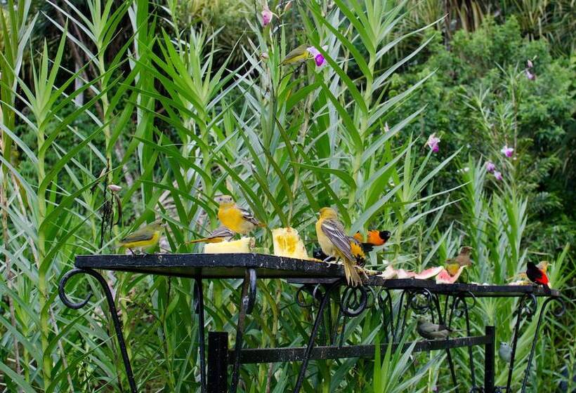 مبيت وإفطار Gingerbread Hotel And Restaurant