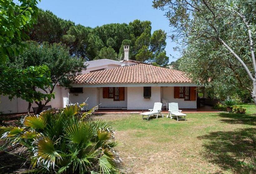 צימר Guest House Villa Verde   Short Term Room Rentals