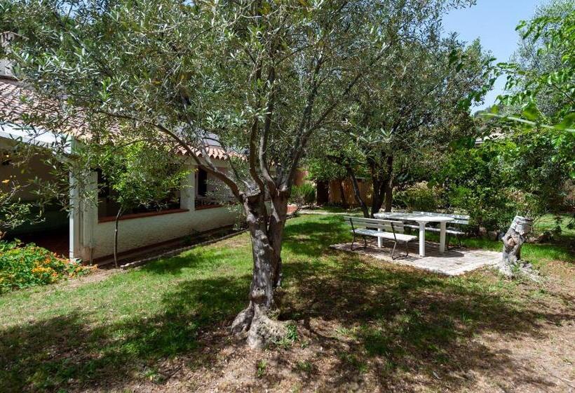 צימר Guest House Villa Verde   Short Term Room Rentals