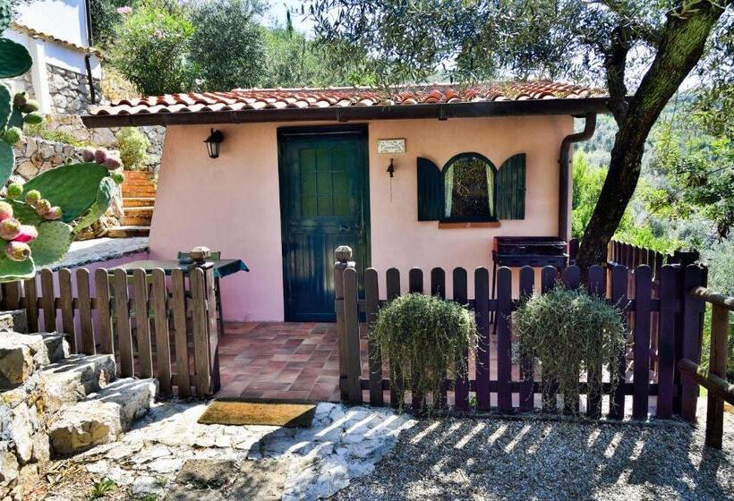 مبيت وإفطار La Maison Galu