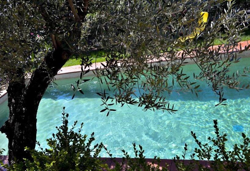 مبيت وإفطار La Maison Galu