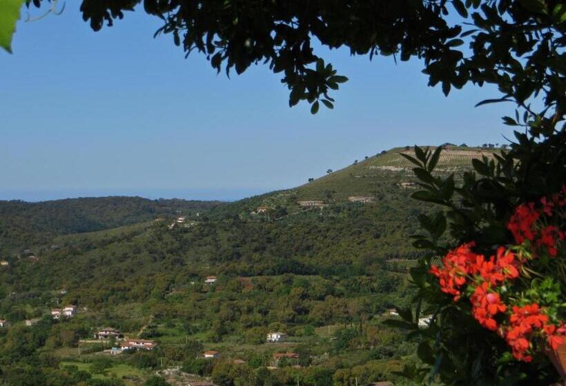 مبيت وإفطار La Maison Galu