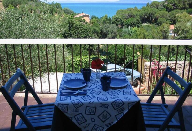 צימר Navarro Hill Resort