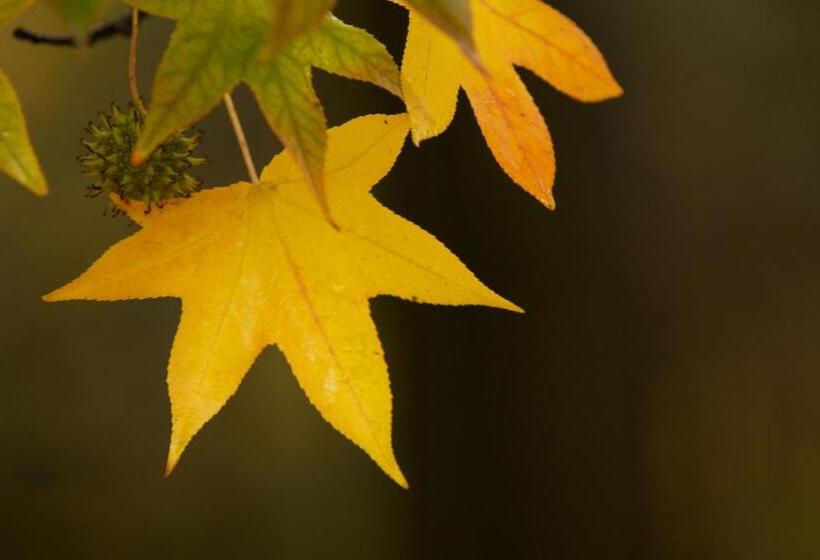 住宿加早餐  Sant'anna