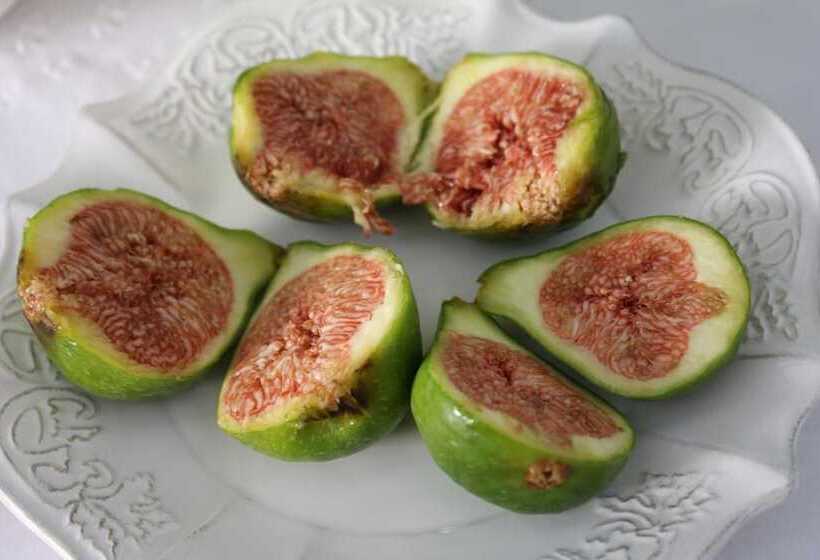 تختخواب و صبحانه Apartment Via Dell Astrologo