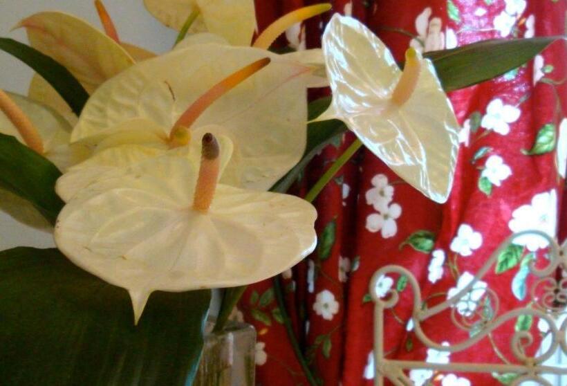 مبيت وإفطار Villa Pieve De  Pitti