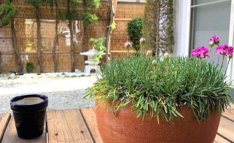 호스텔 Fuji Guest House Ao