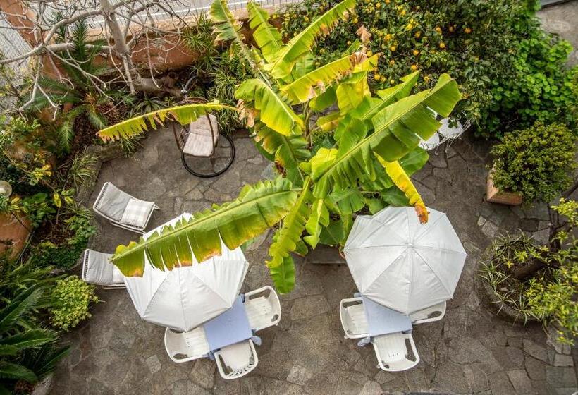 فندق Albergo La Marinella