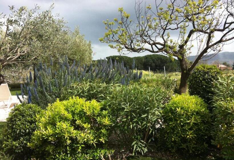 Отель Auberge De L Oumède