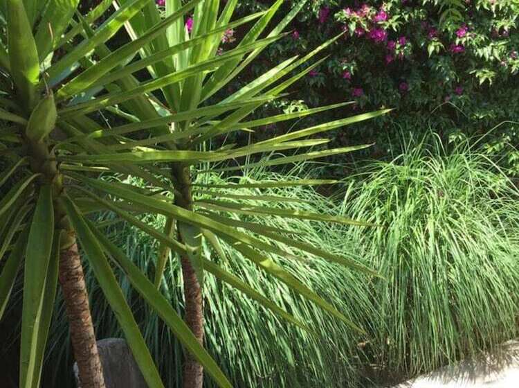 Отель Auberge De L Oumède