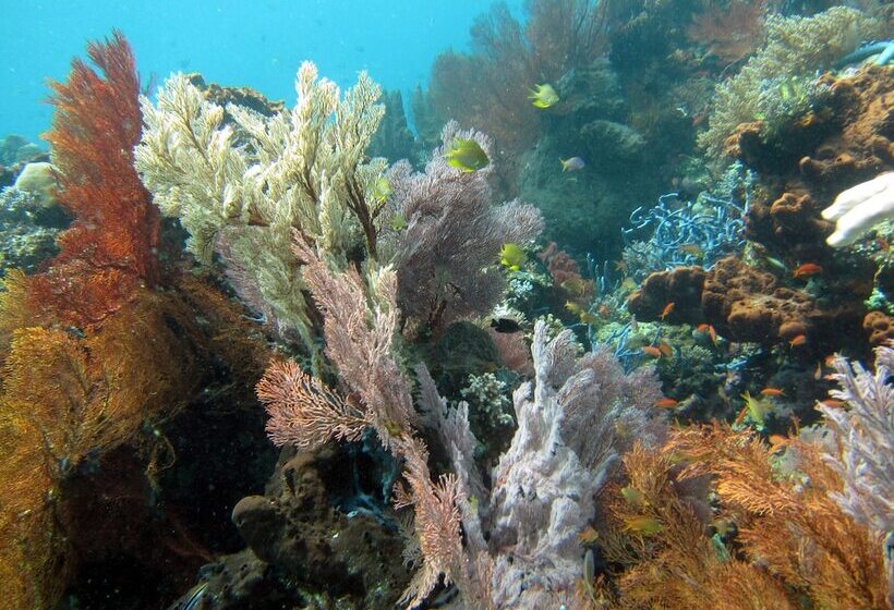 בית מלון כפרי Biorock Homestay