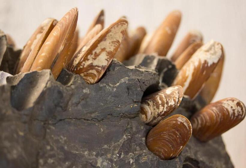 בית מלון כפרי Ca' D'andrean