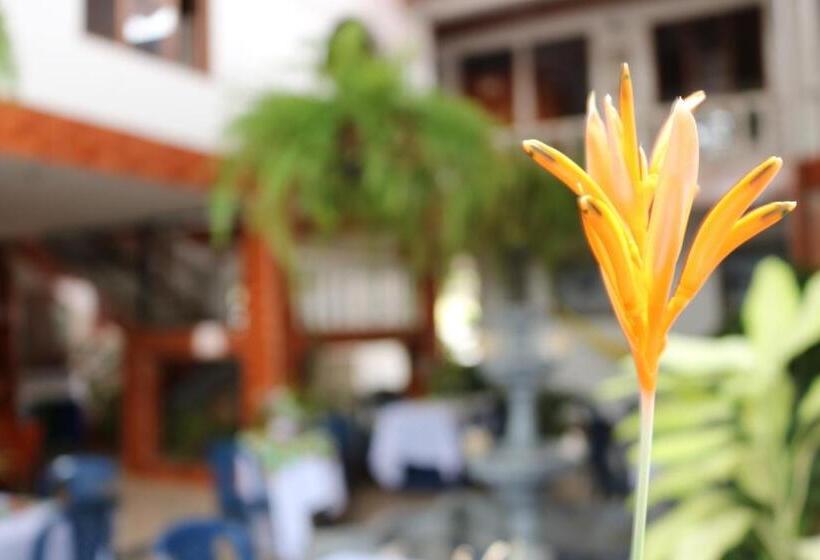 Отель Colonial   Honda