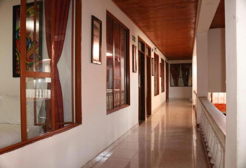 Отель Colonial   Honda