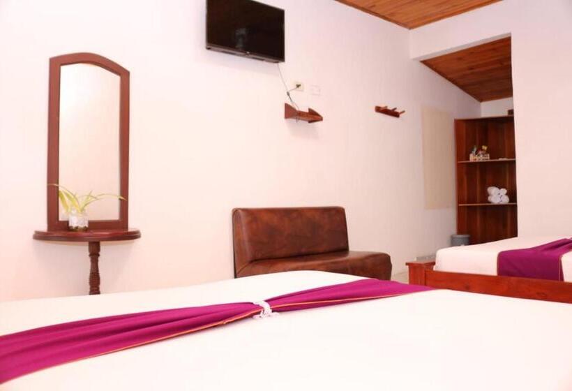 Отель Colonial   Honda