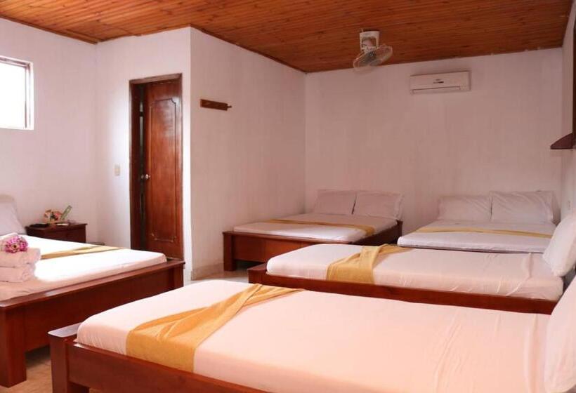 Отель Colonial   Honda