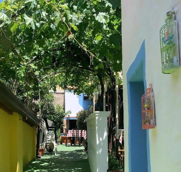 בית מלון כפרי Il Cinghialetto