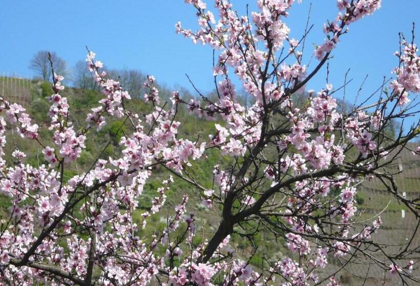 Отель Mosel Landhaus B&b