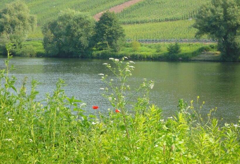 Отель Mosel Landhaus B&b