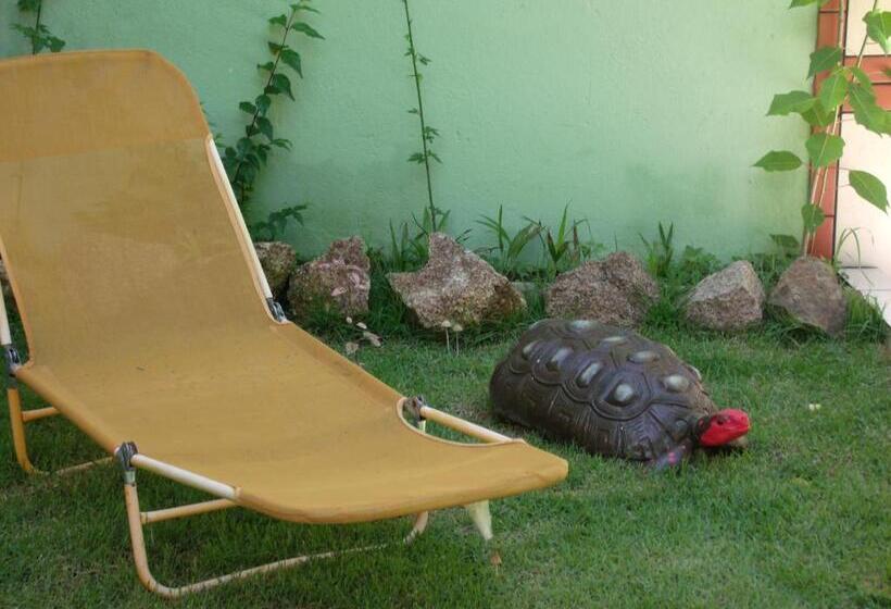 Отель Pousada Horizonte Dos Borbas