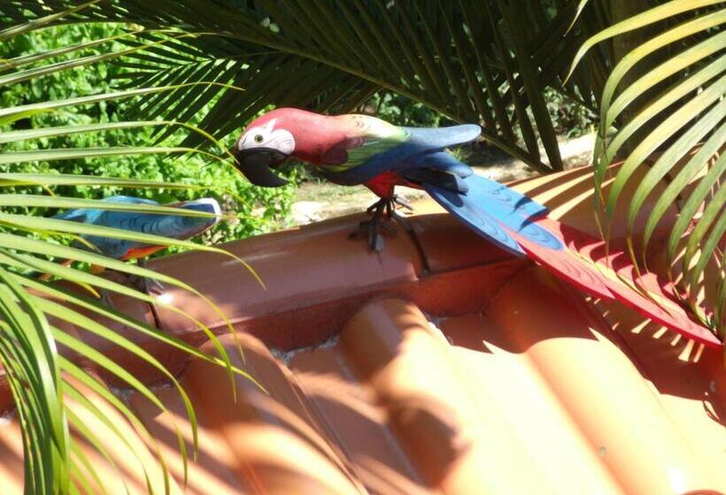 호텔 Pousada Horizonte Dos Borbas