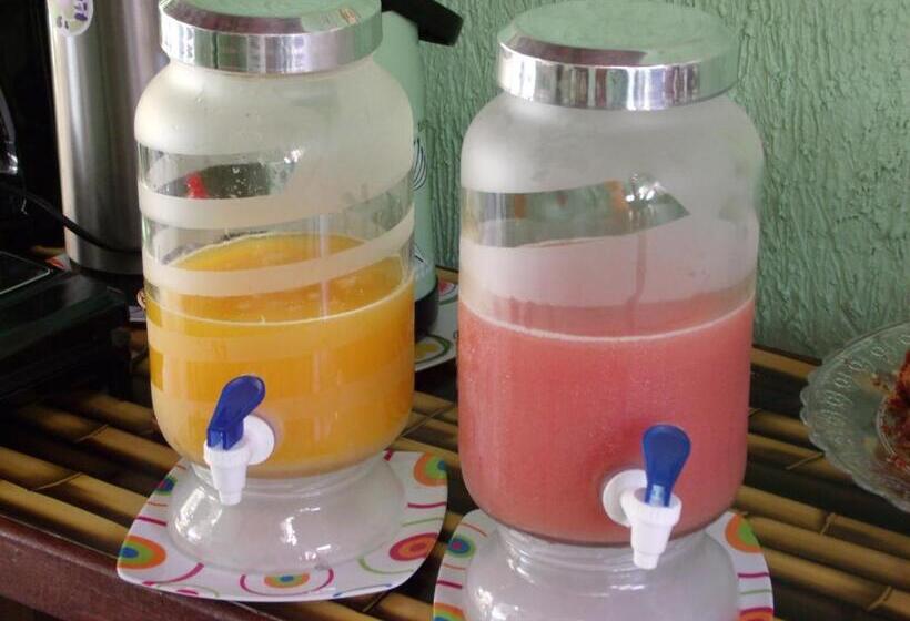 Отель Pousada Horizonte Dos Borbas